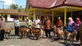 Bantuan Kambing Bagi Masyarakat Miskin